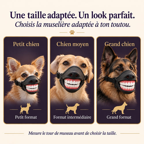 Muselière Sourire Smiloo